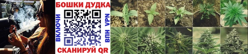 Марихуана гибрид  Реж 